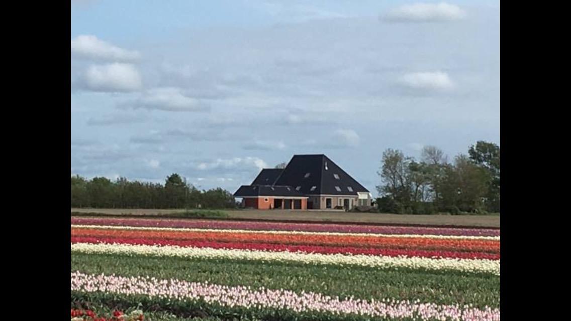 Anna Paulowna Boerderij De Waard B&B 외부 사진